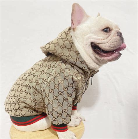 gucci hoodie dog|designer dog coats gucci.